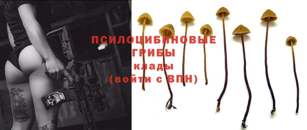 спиды Аркадак