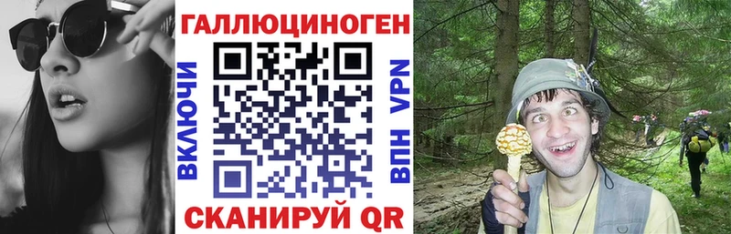 Псилоцибиновые грибы Psilocybine cubensis  кракен ссылки  Новый Оскол 